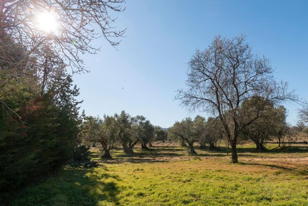 Finca El Palomar De La Vina Madri Exterior foto